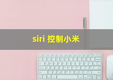 siri 控制小米